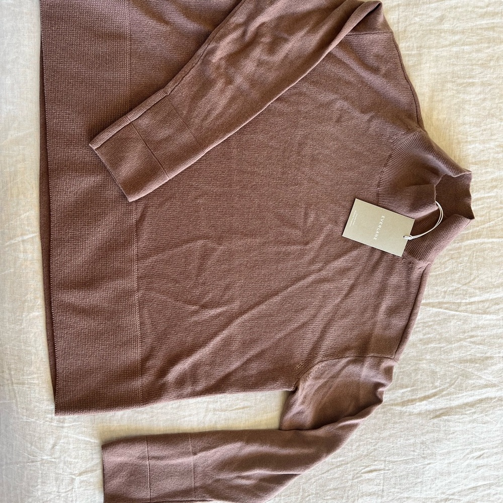 Cashmere Everlane sweater